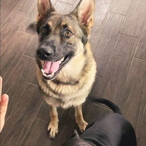 Meet your Posher, Priscilla